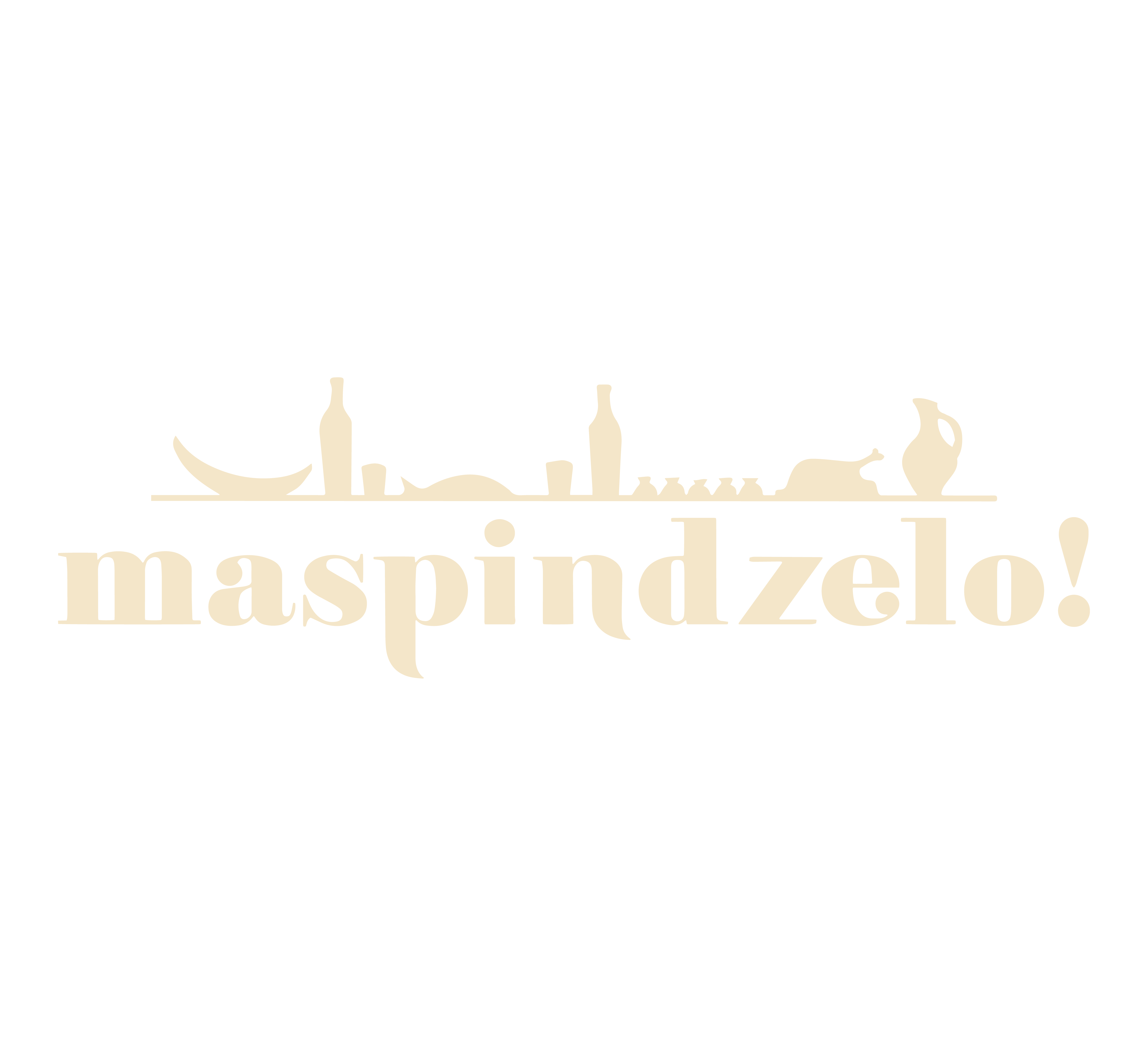 Logo of Maspindzelo